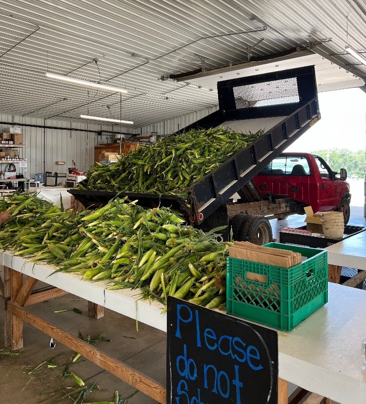 Folgers Farm Fresh Corn!